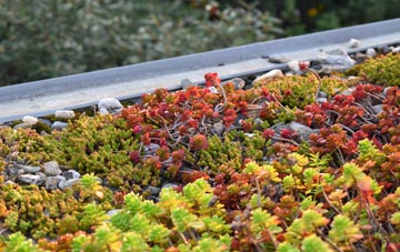 the cost of Marshfield Bank green roof installation